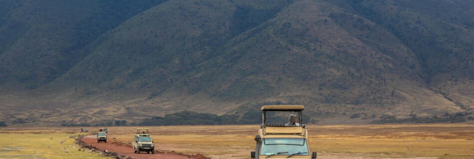 Selbstfahrer Safari oder geführte Tour