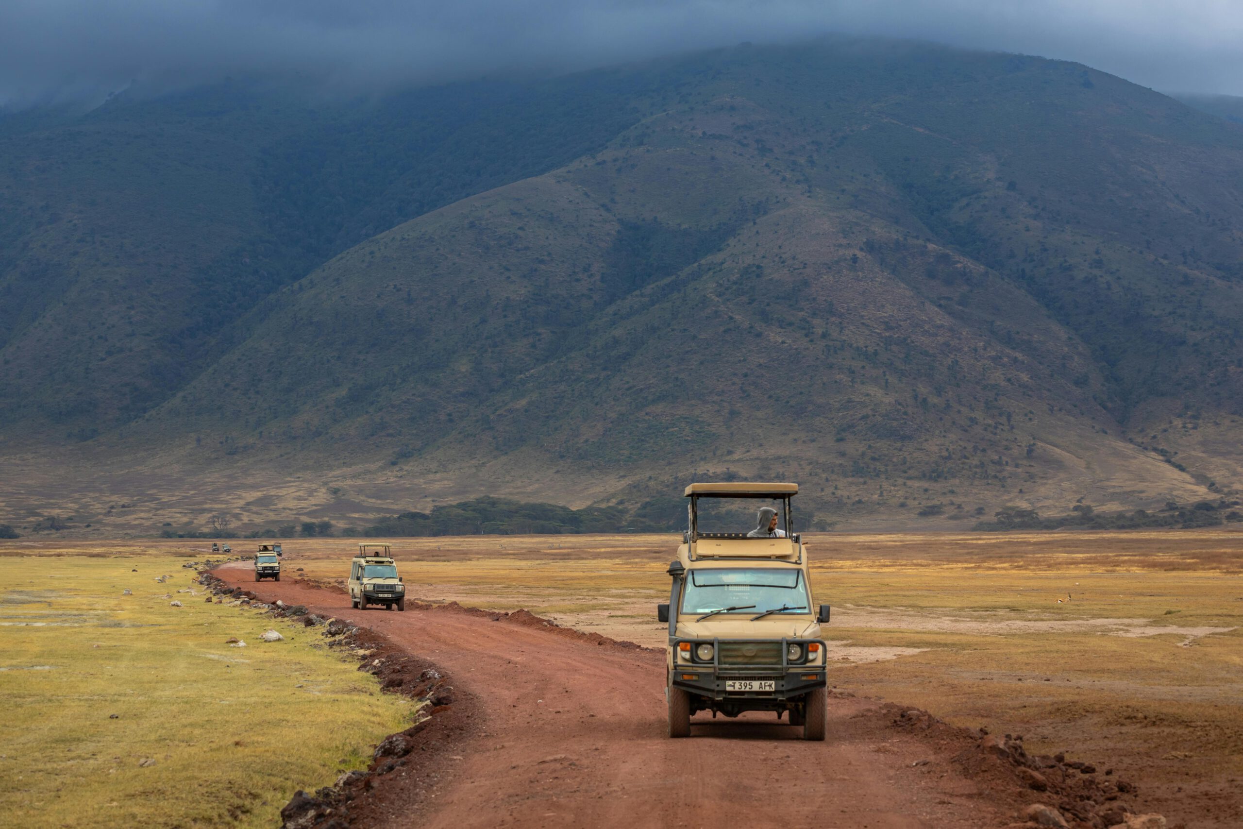 Selbstfahrer Safari oder geführte Tour