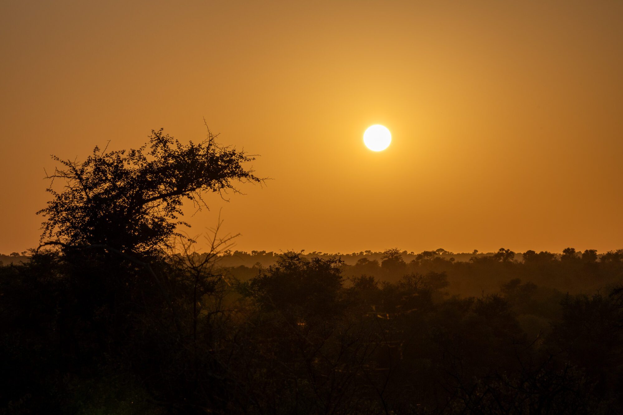 H1-2 Krüger Nationalpark