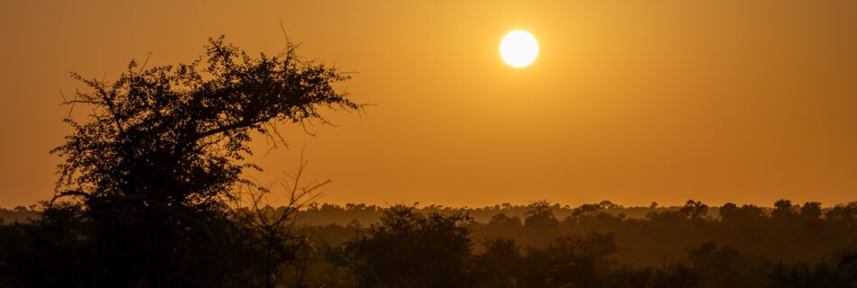 H1-2 Krüger Nationalpark