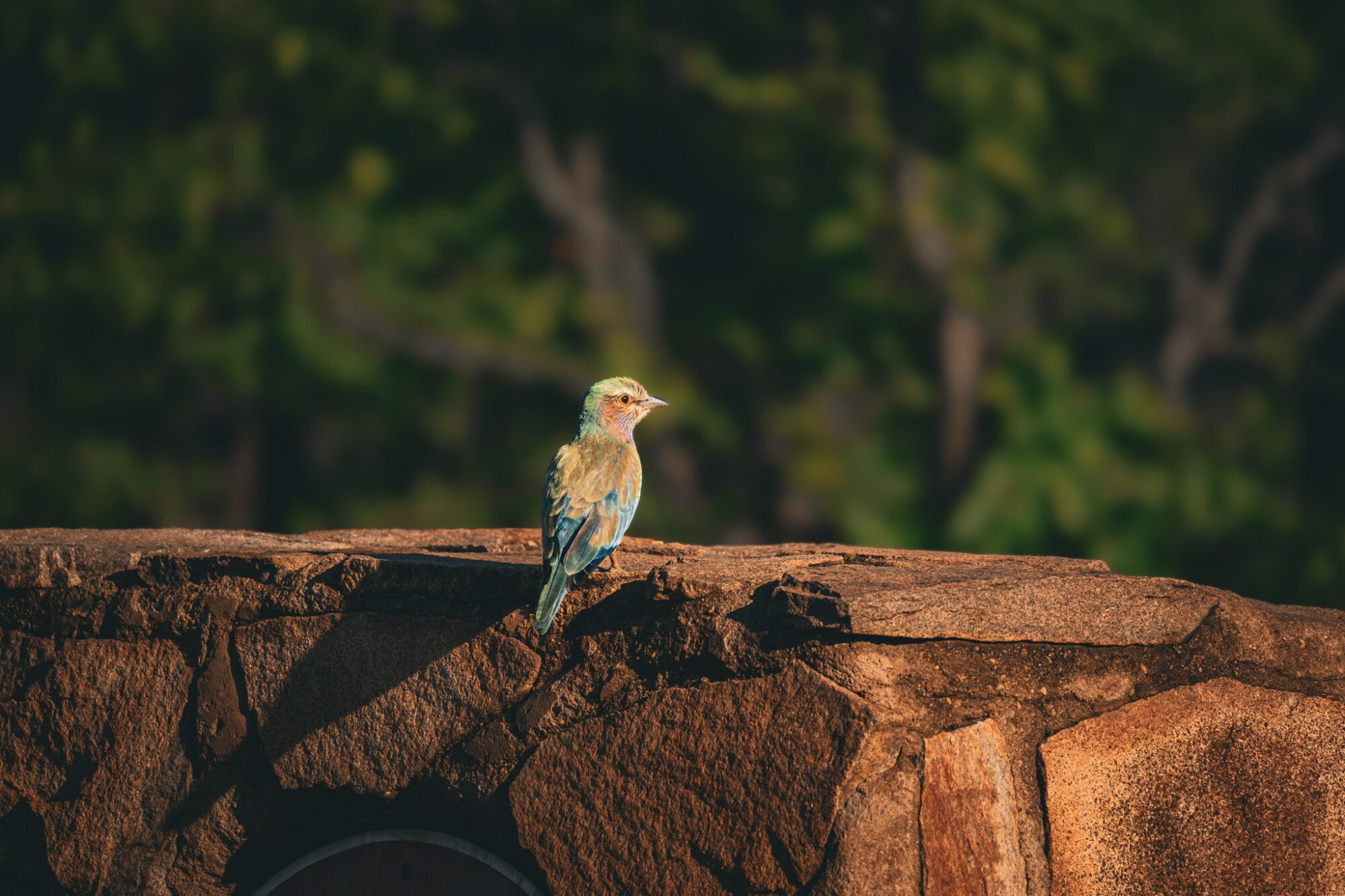 Shingwedzi Safari Tipps