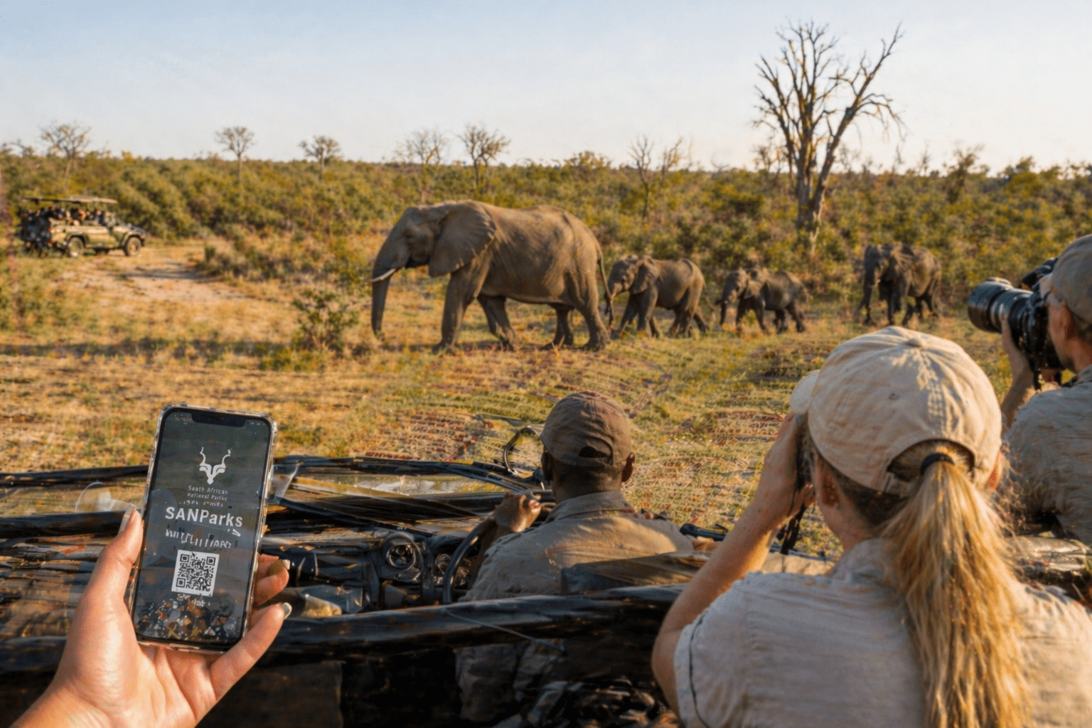 Safari im Krüger-Nationalpark mit Elefantenherde und Smartphone mit SANParks Wild Card im Jeep